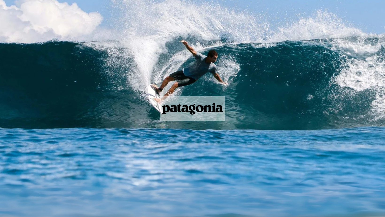 Patagonia Bags
