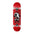 Birdhouse x Tony Hawk | TH Hawk Skull 2 Level 1 Complete Skateboard. 8.0" x 31.5"
